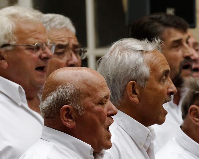 Fete de la musique Bayonne-019